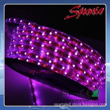 3000k 6000k 220v 5050 led strip 18-20lm